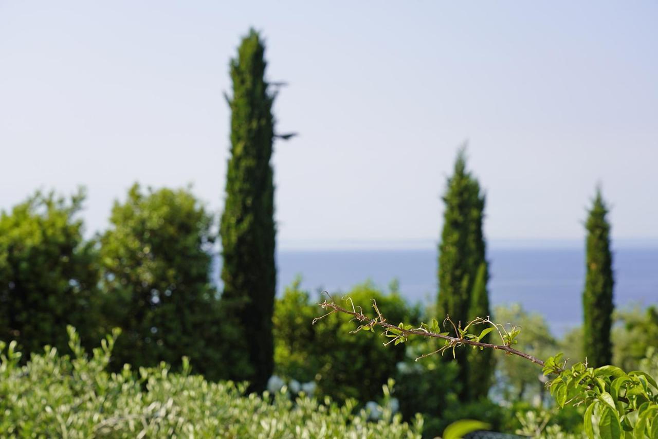 Villa Bouganville Toscolano Maderno Exterior foto